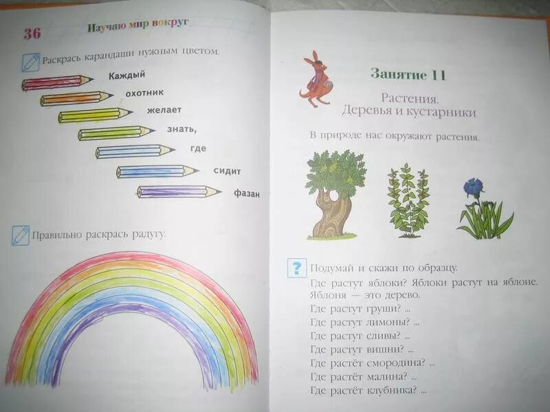 Мир вокруг 6 7. Егупова изучаю мир вокруг для детей 5-6 лет. Ломоносовская школа окружающий мир 5-6 лет. Липская изучаю мир вокруг 6-7 лет. Изучаю мир вокруг 5-6 лет для одаренных детей.