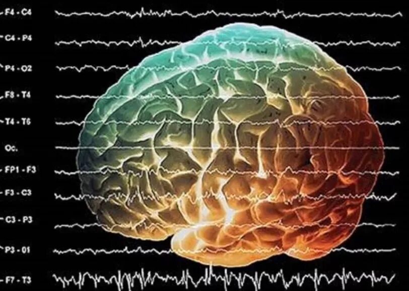 Ритмы мозга Альфа бета тета Дельта ритмы. Альфа бета гамма тета волны частоты мозга. Электрическая активность головного мозга. Волны мозговой активности.