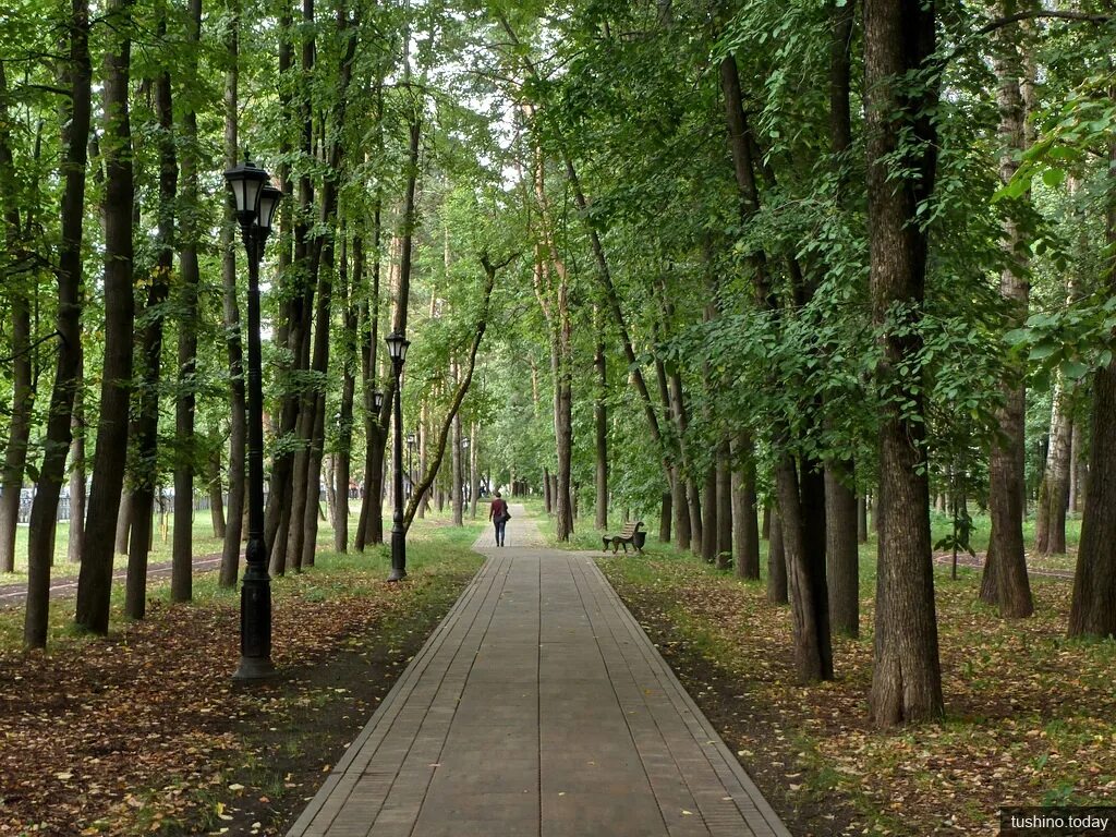 Центр аллея. Сквер салют тушино. центральная аллея 40/4. центральная аллея. парк на улице свободы.