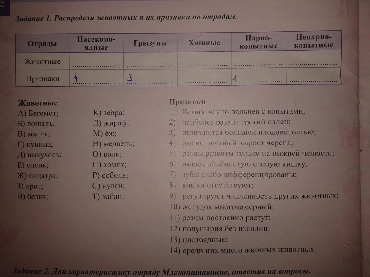 Таблица распределения животных. Распредели животных по отрядам.