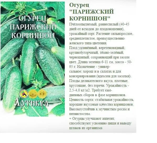 Огурцы лучшие сорта для засолки и консервирования. Огурец Парижский корнишон 0,5г НК. Огурец сорт Парижский корнишон. Огурцы Парижский корнишон описание сорта.