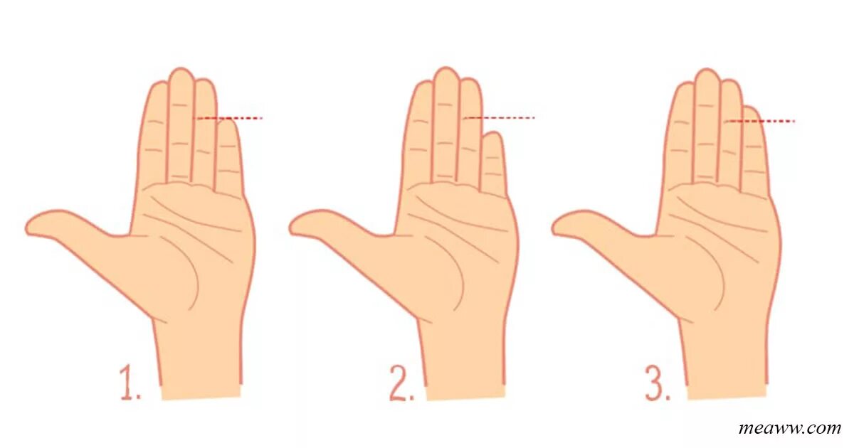 Мизинцы разной длины на руках. Хиромантия форма пальцев. Характер по руке. Средний размер указательного пальца.