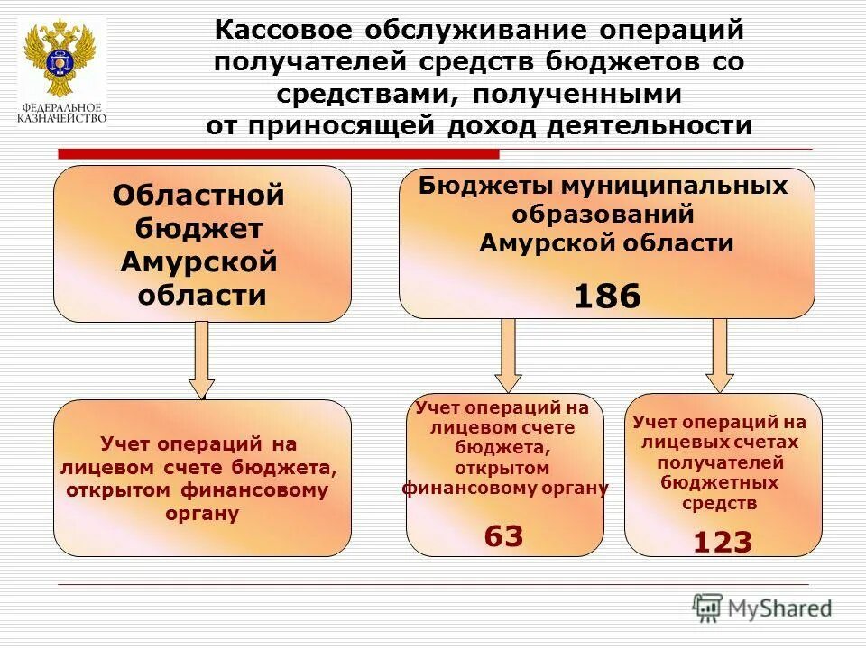 кассовое обслуживание исполнения бюджета федеральное казначейство