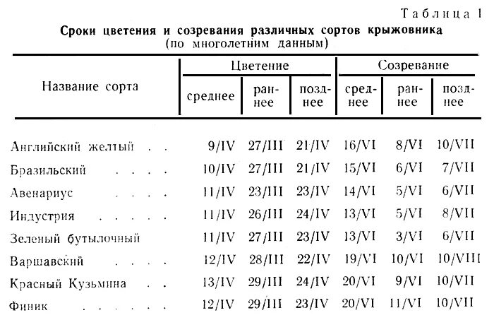 Сроки созревания яблони. Сроки цветения алычи по сортам. Таблица сортоопылителей яблони. Сроки созревания яблонь.