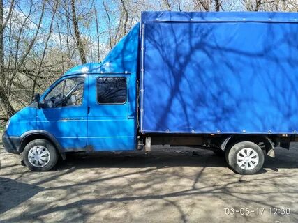 Газель 33