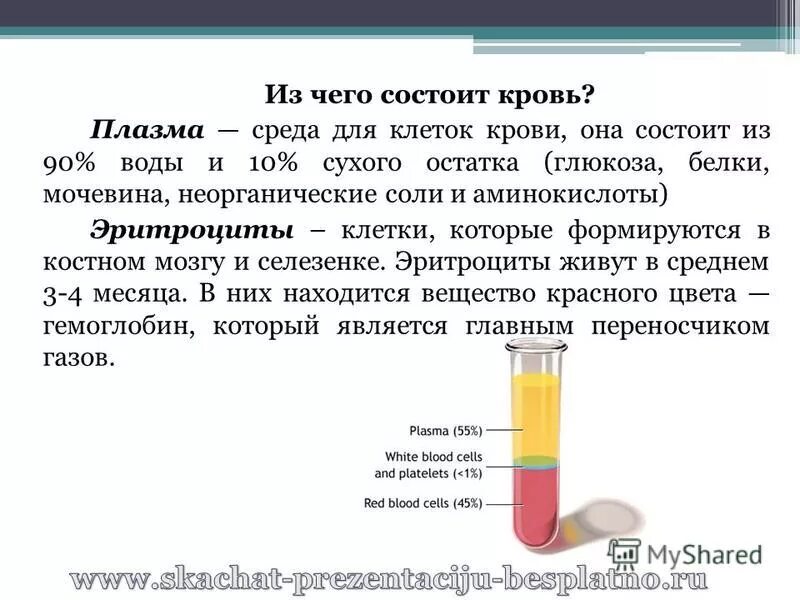 Номером на рисунке обозначена плазма крови. Из чего состоит плазма крови. Из чего состоит кровь. Кровь из чего состоит кровь. Из чего состоит плазма крови человека.