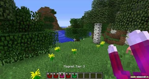 Minecraft magnet