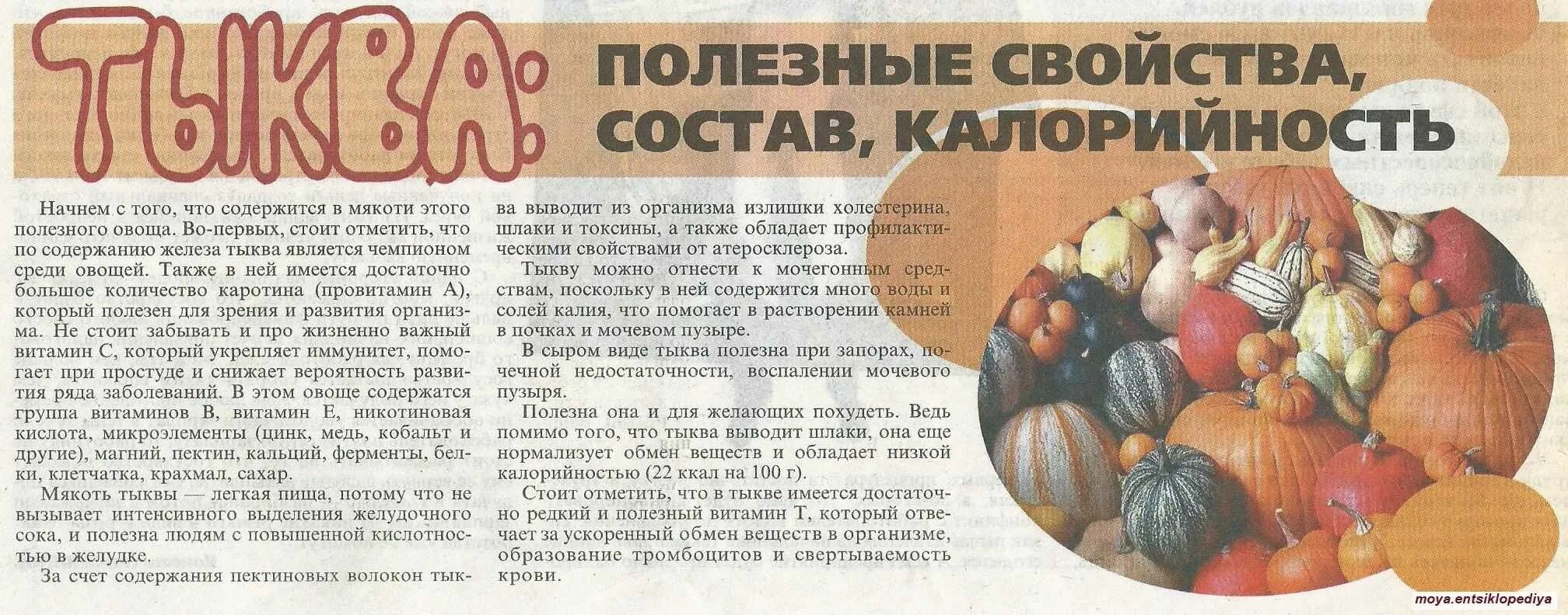 Семечки кабачка польза и вред. Тыква полезные свойства. польза тыквы для здоровья человека. содержание полезных веществ в тыкве. тыква полезность для организма.