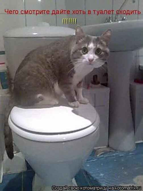 сходила в туалет и опять хочется