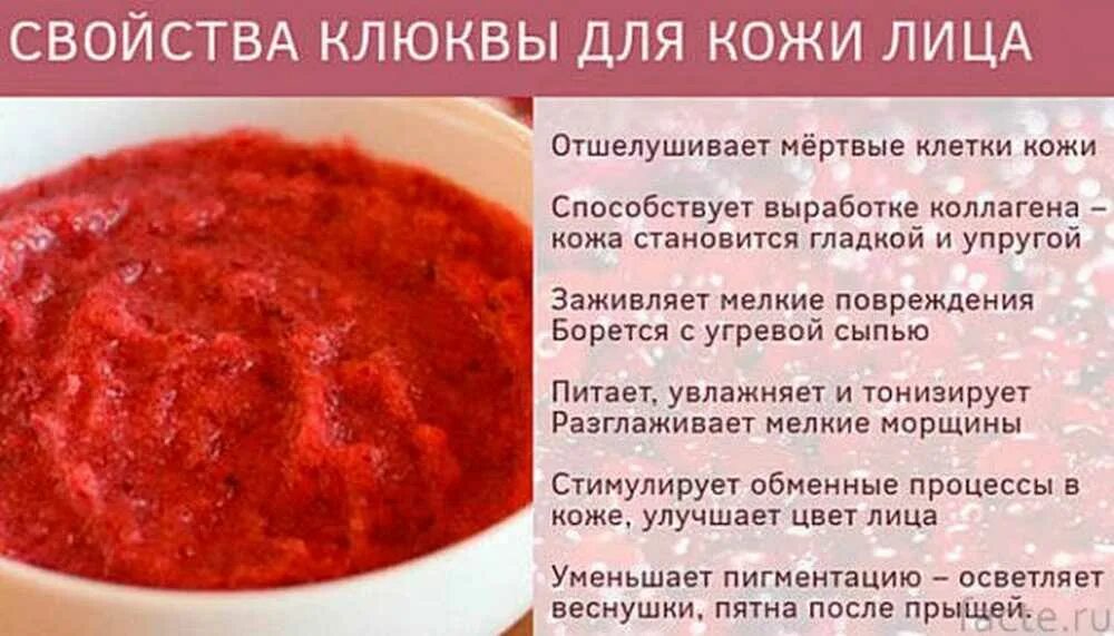При каких заболеваниях полезна клюква. Клюква польза. чем полезна клюква. полезные качества клюквы. клюква полезные свойства.