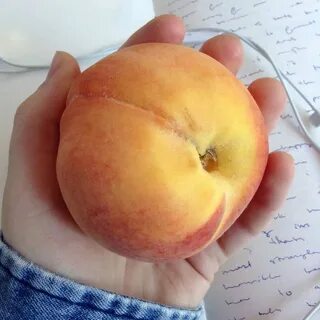 Персик у девушек ракушка CompanySec.ru