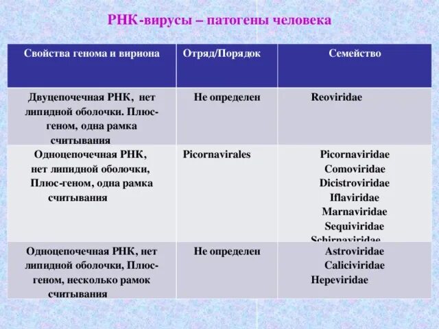 Определение вирусной рнк. Плюс однонитевые рнк вирусы. одноцепочечные рнк вирусы.
