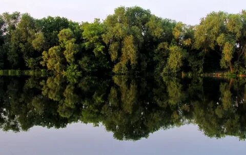 Берег реки орел