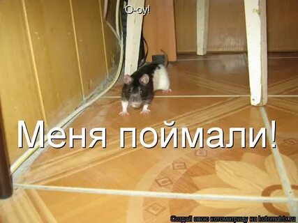 Пока я ловлю