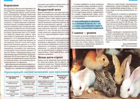 Что давать крольчихе