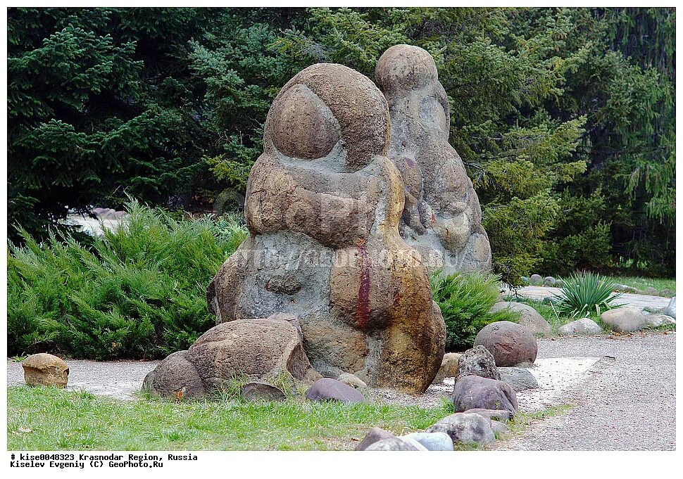 поселок гончарка гиагинского района. пос гончарка адыгея. гончарка адыгея дендропарк. гончарка адыгея дендропарк. дендрологический парк гончарка.