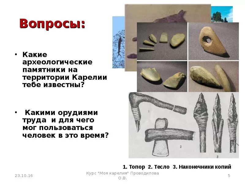 Вопросы археологу