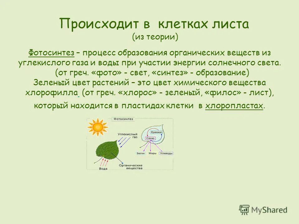 Для образования органических веществ растениям необходима энергия. Образование органического вещества из углекислого газа и воды. Образование органических веществ в листьях на свету. Солнце жизнь и хлорофилл. Что необходимо для образования органических веществ в листе на свету.