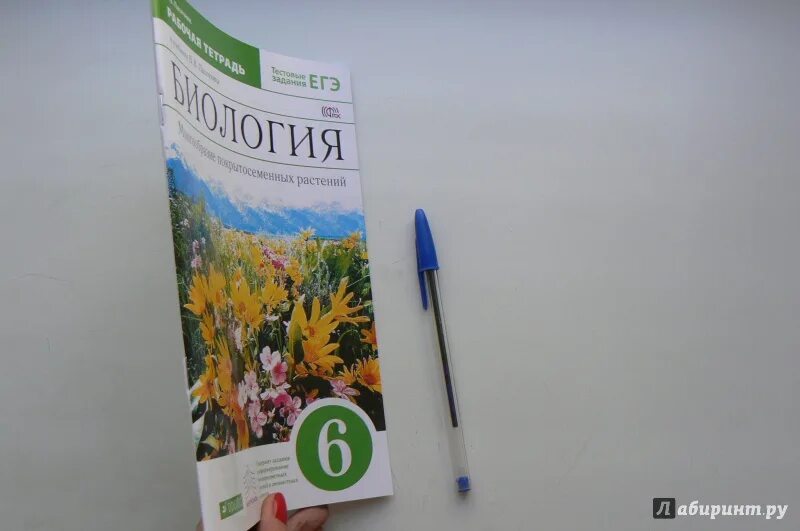 Биология 8 класс фгос пасечник. В.В Пасечник биология 7 класс многообразие бактерий грибов.