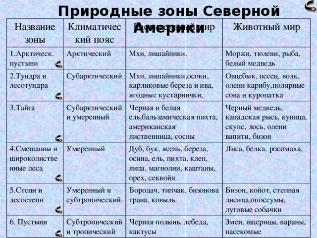 Сходства и различия между степью и тундрой. Природные зоны Северной Америки 7 класс таблица. Характеристика природных зон Северной Америки таблица 7 класс. Таблица по Северной Америке 7 класс география природные зоны климат. Таблица по географии 7 класс природные зоны Северной Америки.