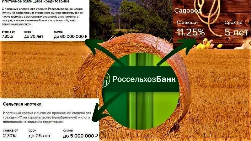 Россельхозбанк елабуга. Автокредитование россельхозбанк. россельхозбанк ипотека на покупку земельного участка. автокредит в россельхозбанке.