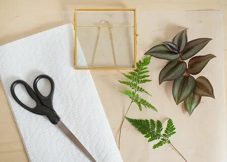 Pressed leaves