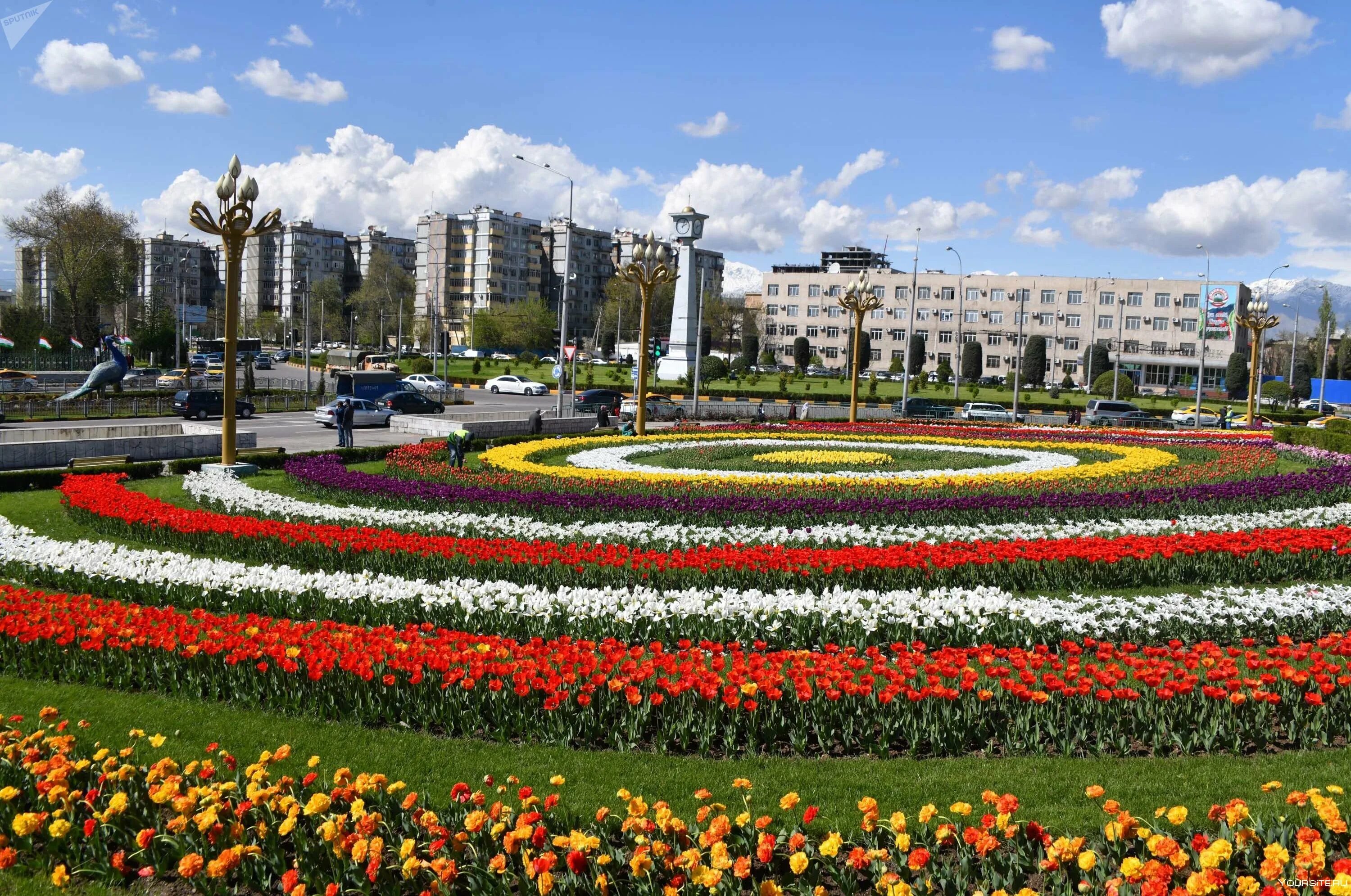 Таджикистан город Душанбе. Столица Таджикистана Душанбе 2023. Столица Душанбе столица Таджикистана. Таджикистан столица Душанбе достопримечательности. Таджикские цветы