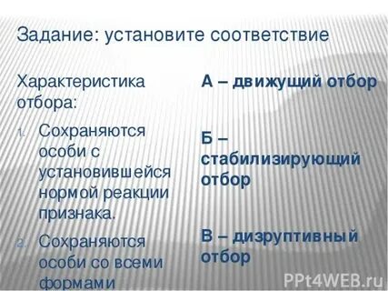Какой отбор сохраняет