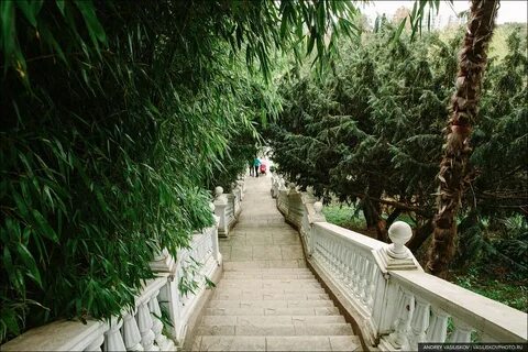 Оживший парк южные культуры