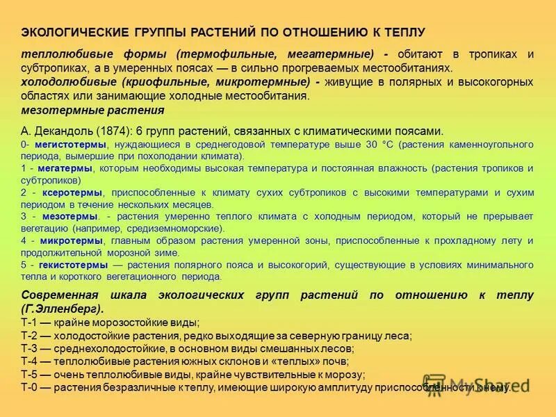 Экологические группы растений по температуре. Классификация растений по температурному режиму. Группы растений по отношению к теплу. Растения по отношению к теплу. Экологические группы растений по отношению к свету.