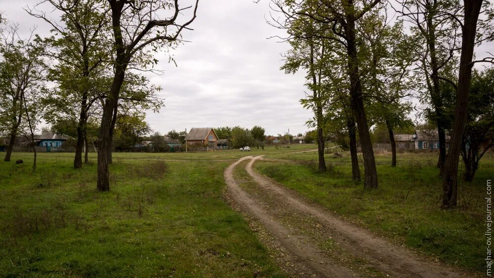 Погода в калниболотской новопокровский район краснодарский край. Станица Калниболотская Краснодарский край. Станица Калниболотская Краснодарский край фото. Население станицы Калниболотская. Исчезнувшие хутора ст Калниболотская.