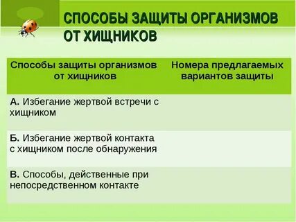 Защищенный вариант