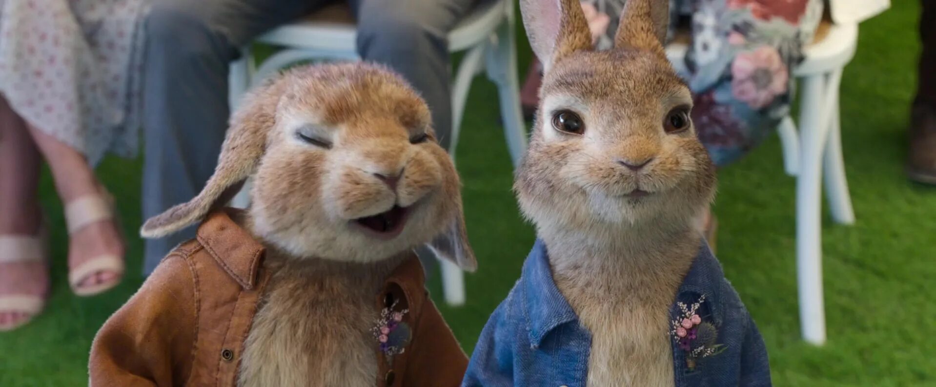 Rabbit 2. Rabbit 2