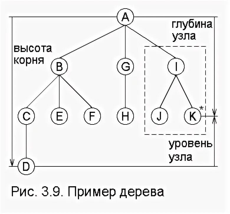 Корневой уровень. Высота дерева графы. Глубина дерева. Узел в дереве графа. Обход дерева в глубину.