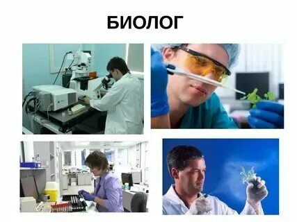 Практика биологи. Биология и практика 5 класс. Практика биологи. Эмблема кабинета химии. Практический тур олимпиады по биологии.