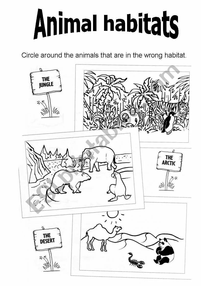 Animal Habitats. Animals and their Habitats. Wild animals Habitat Worksheet. Habitats for animals.