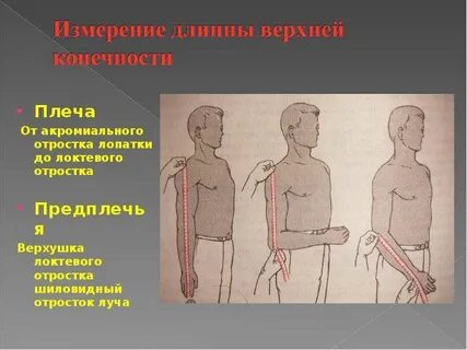 От плеча до кончиков пальцев