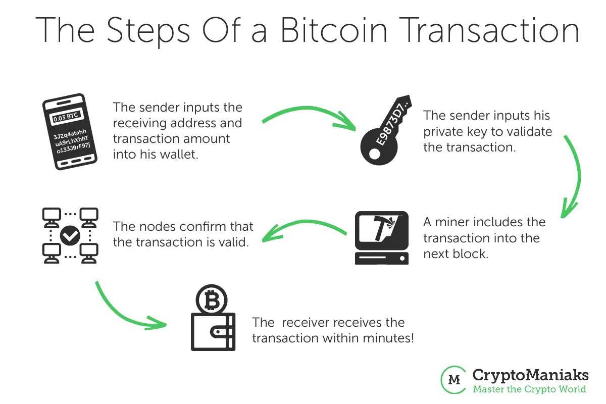 Транзакция биткоин. Обработка транзакций биткоина. BTC transaction. Древовидные биткоин транзакции. Транзакция биткойн