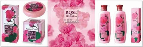 My rose am