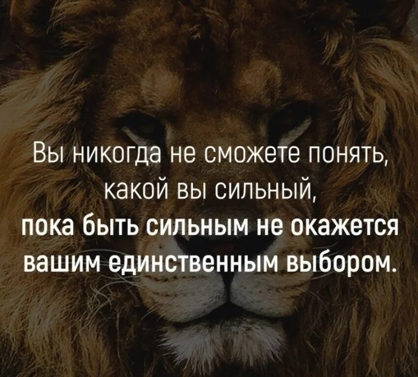 До тех самых пор пока