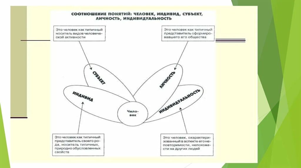 Соотношение понятий индивид субъект личность индивидуальность. Взаимосвязь понятий индивид индивидуальность личность. Схема личность индивид индивидуальность человек. Схема соотношение понятий человек индивид личность индивидуальность. Схема с понятиями индивид личность человек индивидуальность.