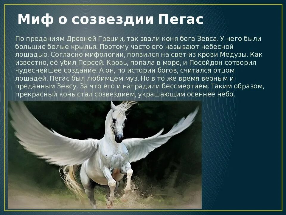 Кто является отцом пегаса. Созвездие Пегас рассказ. Мифы древней Греции Пегас. Миф о созвездии Пегас. Рассказ про Созвездие Пегас для детей 2.