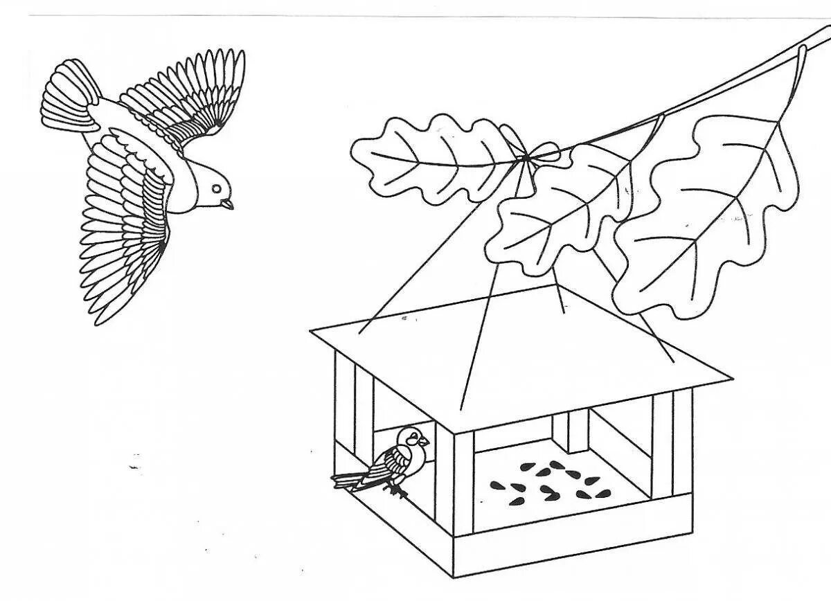 Раскрашиваем кормушки. Кормушка для птиц раскраска. Раскраска кормушка для птиц для детей. Эскиз кормушки для птиц. Кормушка раскраска для детей.