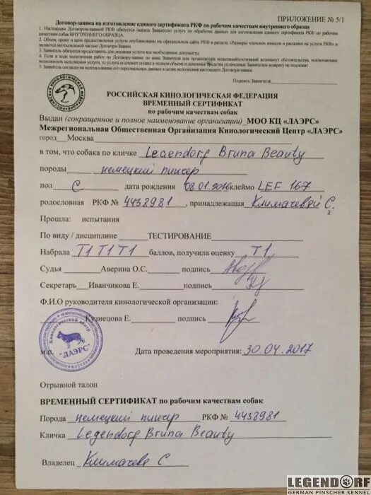 Тестирование собак для допуска в племенное. Тестирование собак для допуска в племенное
