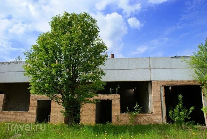 Деревня Кабаново Орехово-Зуевский район. Деревня Кабаново Московская область. Молокозавод Кабаново. Заброшенный молокозавод в Кабаново. Кабаново горьковское направление