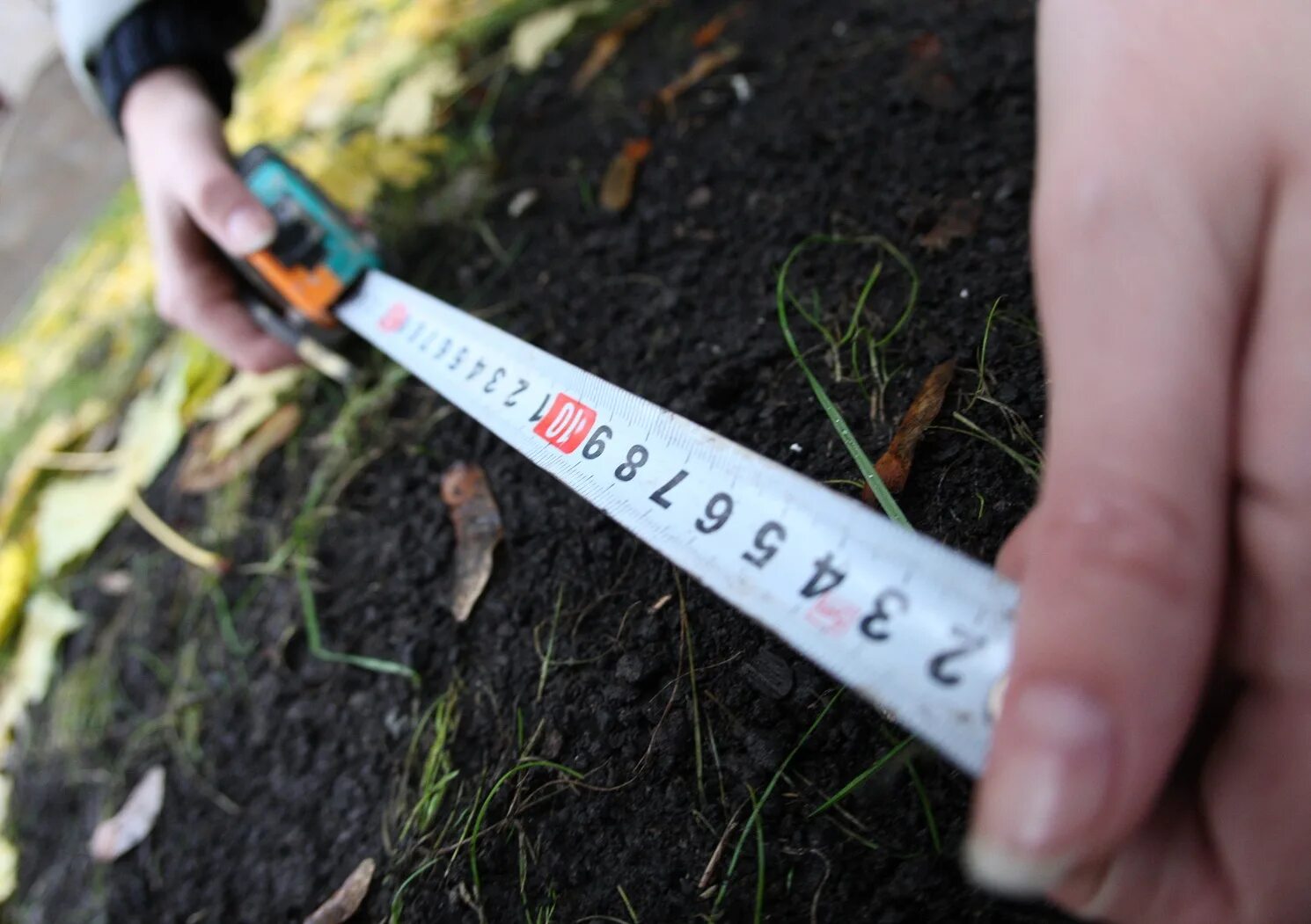 Виды нарушений в земельном кодексе. Изъятие земли. Самовольное занятие земельного участка. Незаконная использование земли. Самозахват земельных участков.