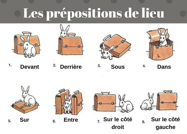 Предлоги во французском языке. Предлоги места во французском языке. Prepositions во французском языке. Французские предлоги.