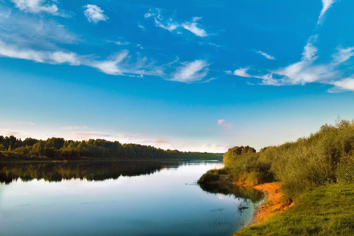 Река мста новгородская область