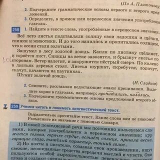 Зашумел в лесу золотой дождь 4