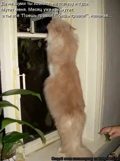Услышьте первыми